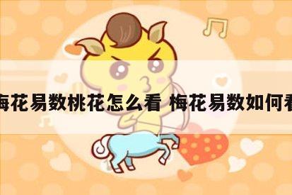 梅花易数桃花怎么看 梅花易数如何看