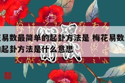 梅花易数最简单的起卦方法是 梅花易数最简单的起卦方法是什么意思
