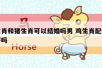 鸡生肖和猪生肖可以结婚吗男 鸡生肖配猪生肖好吗