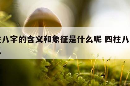 四柱八字的含义和象征是什么呢 四柱八字的意思