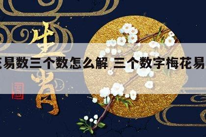 梅花易数三个数怎么解 三个数字梅花易数占卜
