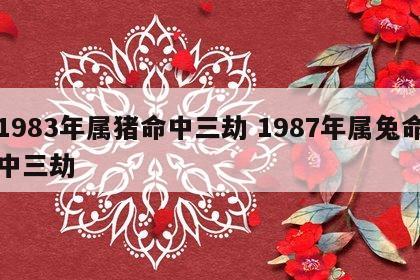 1983年属猪命中三劫 1987年属兔命中三劫