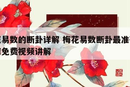 梅花易数的断卦详解 梅花易数断卦最准确的诀窍免费视频讲解