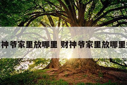 财神爷家里放哪里 财神爷家里放哪里好