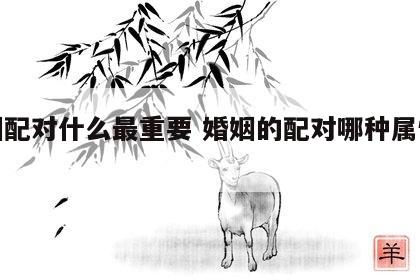 婚姻配对什么最重要 婚姻的配对哪种属性最合