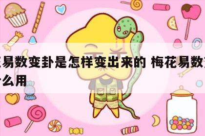 梅花易数变卦是怎样变出来的 梅花易数变卦有什么用