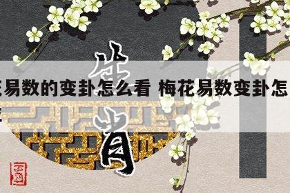 梅花易数的变卦怎么看 梅花易数变卦怎么看方位