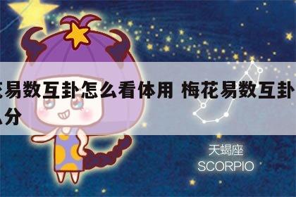 梅花易数互卦怎么看体用 梅花易数互卦体用怎么分