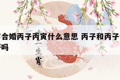 八字合婚丙子丙寅什么意思 丙子和丙子做夫妻好吗