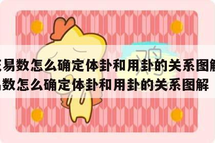 梅花易数怎么确定体卦和用卦的关系图解 梅花易数怎么确定体卦和用卦的关系图解