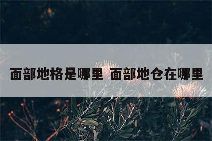 面部地格是哪里 面部地仓在哪里