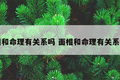 面相和命理有关系吗 面相和命理有关系吗男