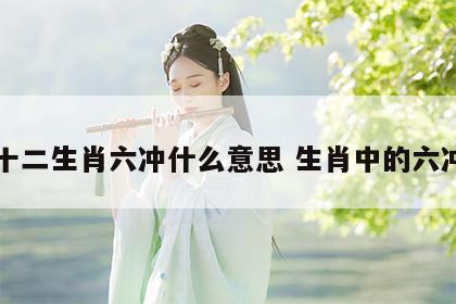 十二生肖六冲什么意思 生肖中的六冲