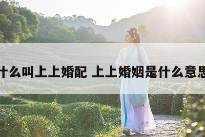 什么叫上上婚配 上上婚姻是什么意思