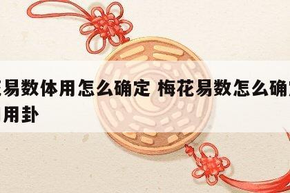 梅花易数体用怎么确定 梅花易数怎么确定体卦和用卦