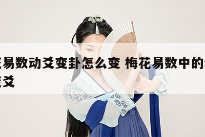 梅花易数动爻变卦怎么变 梅花易数中的动爻和变爻