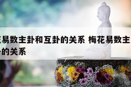 梅花易数主卦和互卦的关系 梅花易数主卦和互卦的关系