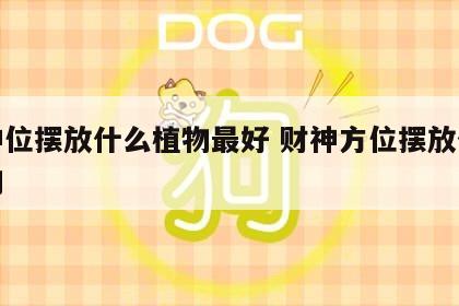 财神位摆放什么植物最好 财神方位摆放什么植物
