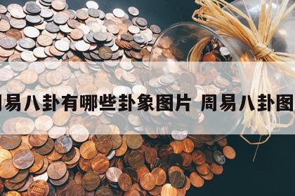 周易八卦有哪些卦象图片 周易八卦图谱