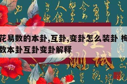 梅花易数的本卦,互卦,变卦怎么装卦 梅花易数本卦互卦变卦解释