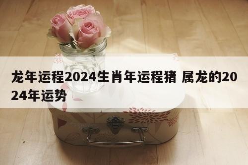 龙年运程2024生肖年运程猪 属龙的2024年运势