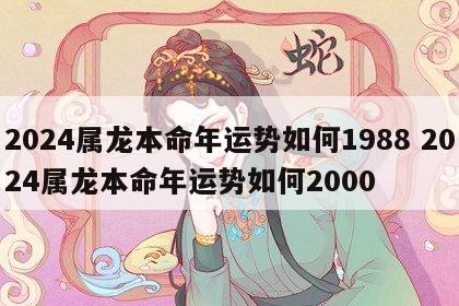 2024属龙本命年运势如何1988 2024属龙本命年运势如何2000