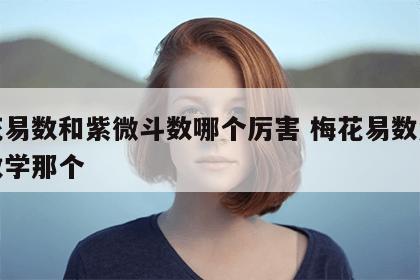 梅花易数和紫微斗数哪个厉害 梅花易数紫薇斗数学那个