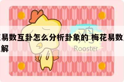 梅花易数互卦怎么分析卦象的 梅花易数互卦怎么解