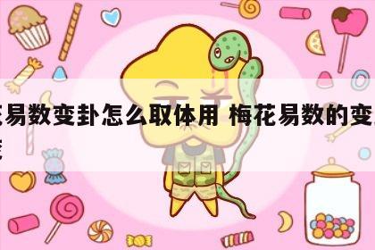 梅花易数变卦怎么取体用 梅花易数的变卦怎么变