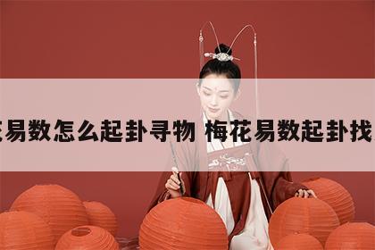 梅花易数怎么起卦寻物 梅花易数起卦找东西
