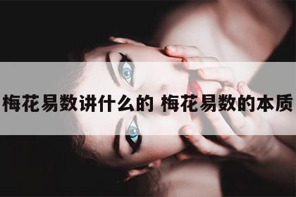 梅花易数讲什么的 梅花易数的本质