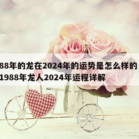 88年的龙在2024年的运势是怎么样的 1988年龙人2024年运程详解