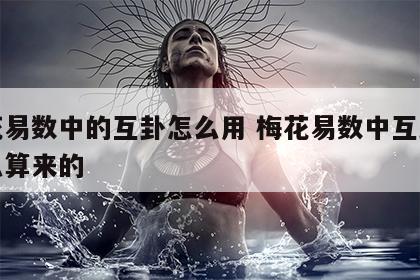 梅花易数中的互卦怎么用 梅花易数中互卦是怎么算来的