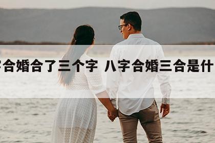 八字合婚合了三个字 八字合婚三合是什么意思