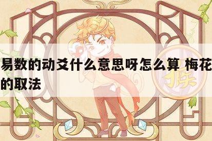 梅花易数的动爻什么意思呀怎么算 梅花易数动爻的取法