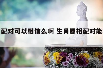 生肖配对可以相信么啊 生肖属相配对能相信吗?