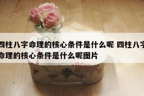 四柱八字命理的核心条件是什么呢 四柱八字命理的核心条件是什么呢图片