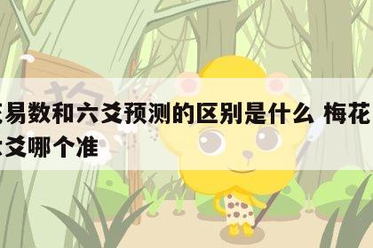 梅花易数和六爻预测的区别是什么 梅花易数与六爻哪个准