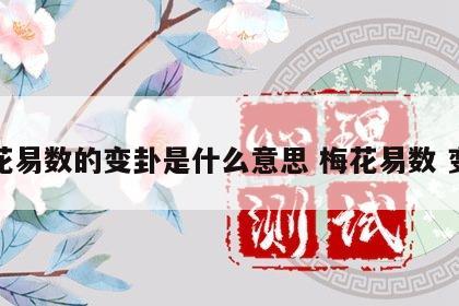 梅花易数的变卦是什么意思 梅花易数 变爻