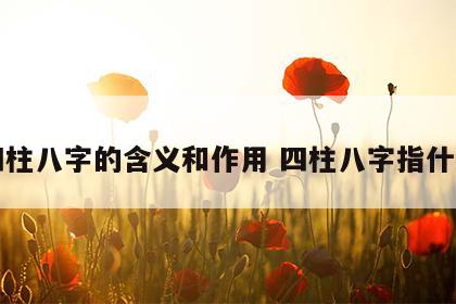 四柱八字的含义和作用 四柱八字指什么