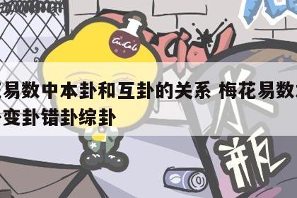 梅花易数中本卦和互卦的关系 梅花易数本卦互卦变卦错卦综卦