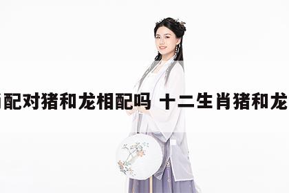 生肖配对猪和龙相配吗 十二生肖猪和龙配吗