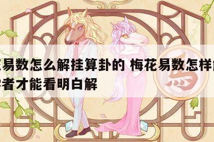 梅花易数怎么解挂算卦的 梅花易数怎样解卦初学者才能看明白解