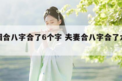 婚姻合八字合了6个字 夫妻合八字合了六个字