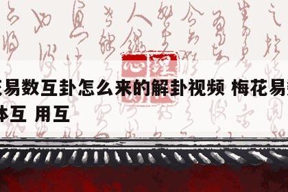 梅花易数互卦怎么来的解卦视频 梅花易数互卦 体互 用互