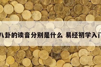 八卦的读音分别是什么 易经初学入门