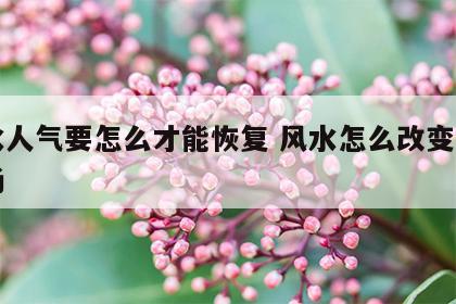 风水人气要怎么才能恢复 风水怎么改变人的气场