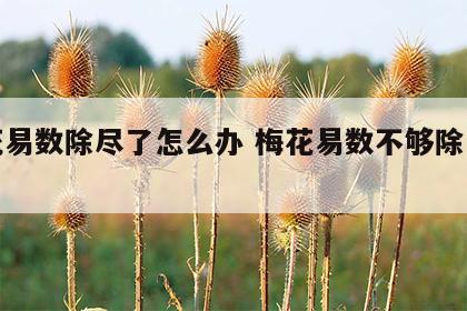 梅花易数除尽了怎么办 梅花易数不够除怎么办