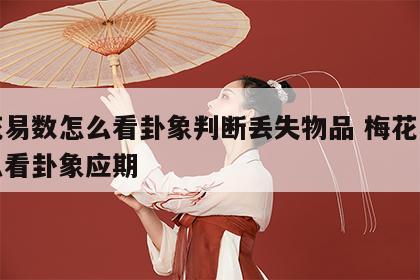 梅花易数怎么看卦象判断丢失物品 梅花易数怎么看卦象应期
