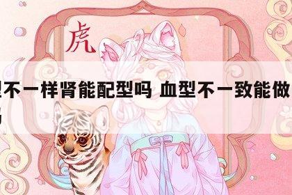 血型不一样肾能配型吗 血型不一致能做肾移植吗